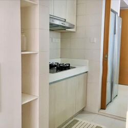 The Quartz (D19), Condominium #575308001